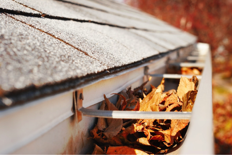 Why Professional Gutter Cleanup Matters