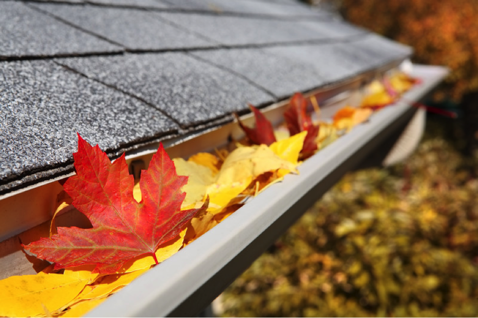 Gutter Cleaning: A Quick Appointment, and A Big Payoff