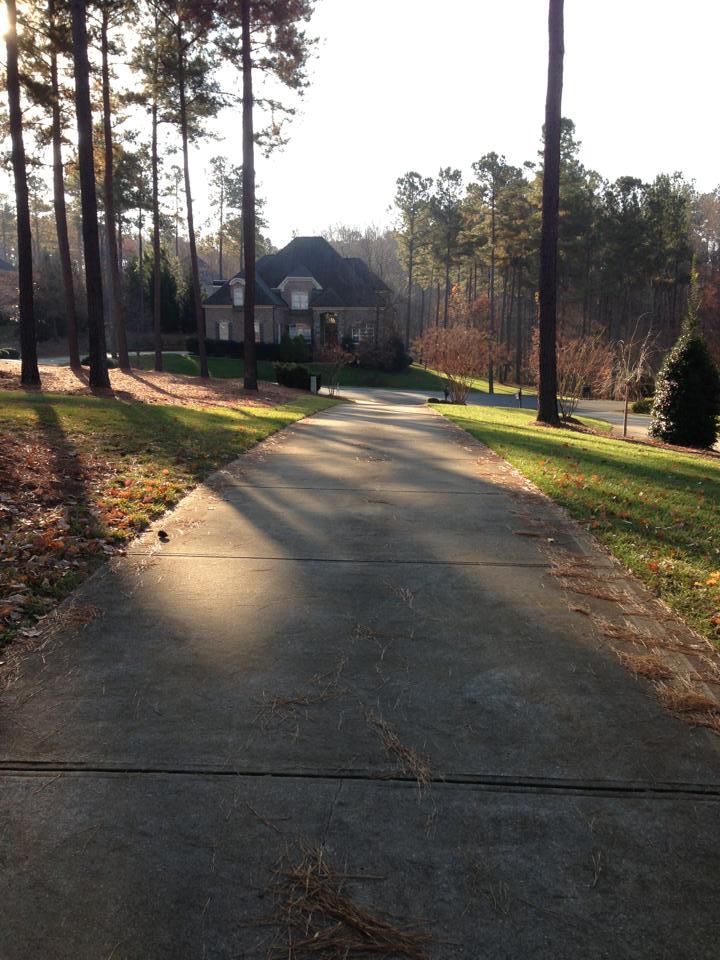 Driveway Cleaning Before