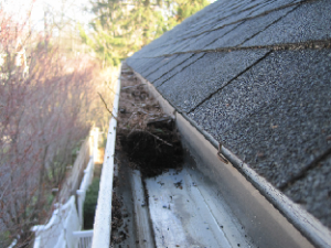 Clean Your Gutters Every Year